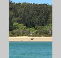 FAIRVIEW COTTAGE 25B - Waterfront accommodation - Accommodation Gladstone