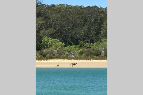 FAIRVIEW COTTAGE 25B - Waterfront Accommodation - Accommodation Gladstone 0