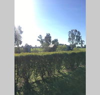 Farm House at the Gateway to the King Valley - Accommodation Gladstone