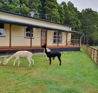 Farm Stay Lowana Strahan - Accommodation Gladstone