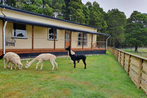 Farm Stay Lowana, Strahan - Accommodation Gladstone 0