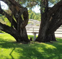 Farm Stay Studio - Accommodation Gladstone