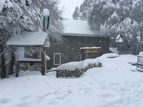 Feathertop Alpine Lodge - Accommodation Gladstone 0