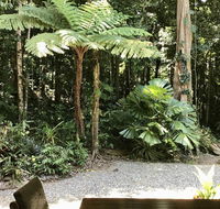 Forest Views Daintree - Accommodation Gladstone