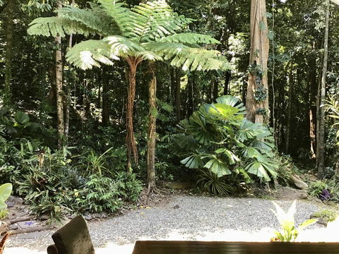Forest Views Daintree - Accommodation Gladstone 0