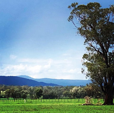 Fourjay Farmstay - Accommodation Gladstone 0
