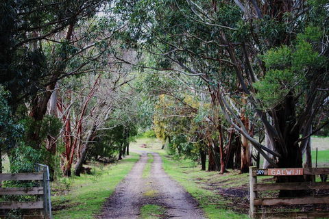 Galwiji Homestead - Accommodation Gladstone 1