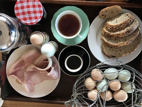 Gilgraves Vineyard Farmstay - Accommodation Gladstone 1