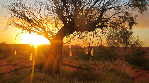 Giralia Homestay - Accommodation Gladstone 0