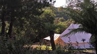 Book Zeehan Accommodation Vacations Accommodation Gladstone Accommodation Gladstone