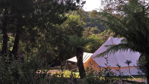 Glamping At Zeehan Bush Camp - Accommodation Gladstone 0