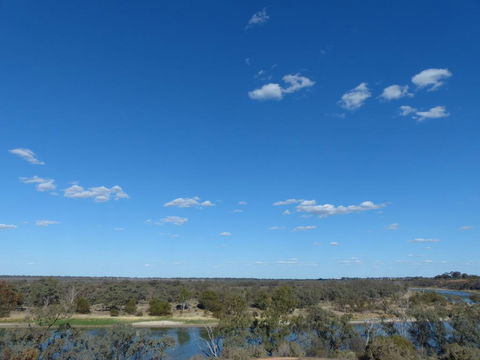 Glenbar Cottage Yelta - Accommodation Gladstone 2