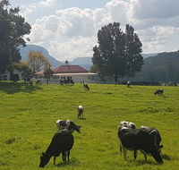 Glenmurray - Country farm stay - Accommodation Gladstone