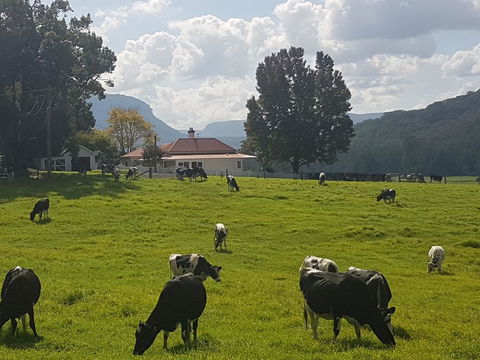 Glenmurray - Country Farm Stay! - Accommodation Gladstone 0