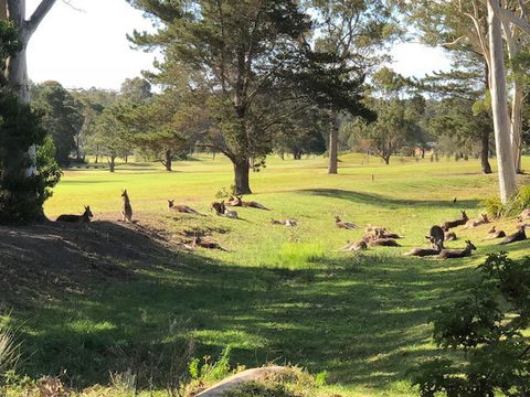 Golf View Motel - Accommodation Gladstone 1