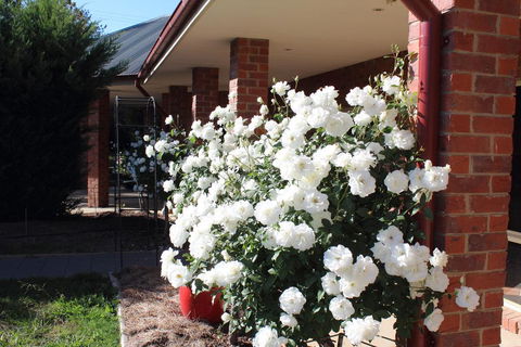Gundaroo Manor Bed & Breakfast - Accommodation Gladstone 3