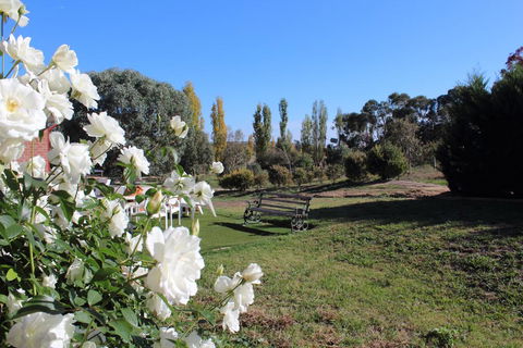 Gundaroo Manor Bed & Breakfast - Accommodation Gladstone 2