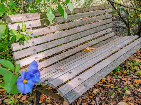 Hakea Bush Cabin - Accommodation Gladstone 3