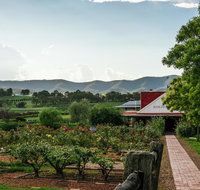 Hanging Tree Wines - Accommodation Gladstone