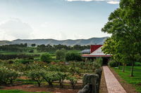 Book Pokolbin Accommodation Vacations Accommodation Gladstone Accommodation Gladstone