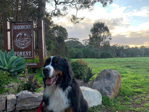 Harmony Forest Cottages & Lake Side Lodge - Accommodation Gladstone 2