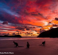 Heather's Mica Cottage - Accommodation Gladstone