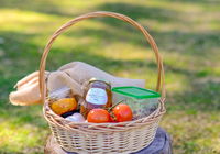 Book Wattamolla Accommodation Vacations Accommodation Gladstone Accommodation Gladstone