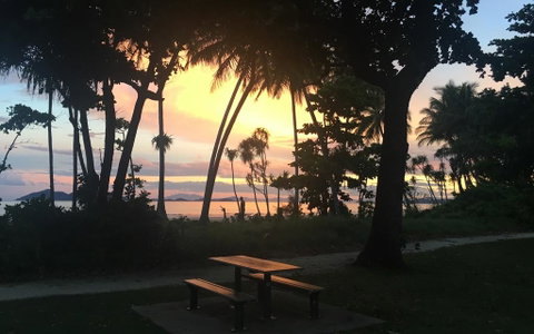 Jackaroo Treehouse Mission Beach - Accommodation Gladstone 3