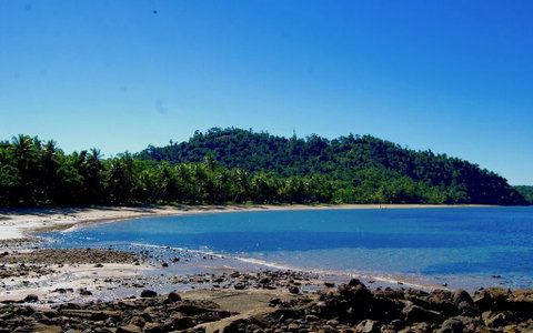 Jackaroo Treehouse Mission Beach - Accommodation Gladstone 2