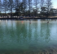 Jaspers Apartments - Accommodation Gladstone