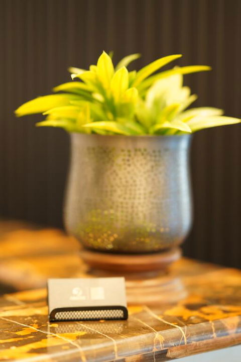 Jephson Hotel & Apartments - Accommodation Gladstone 3