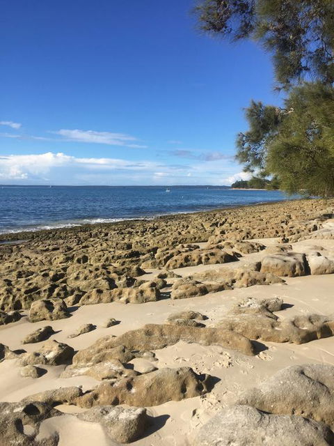 Jervis Bay Magic Vincentia South Coast - Accommodation Gladstone 0
