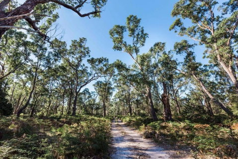 Jetty Views - Water Views On Raymond Island - Accommodation Gladstone 1