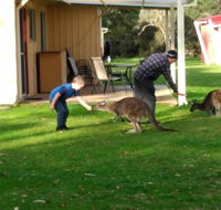 Kalgan River Chalets and Caravan Park - Accommodation Gladstone