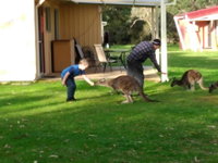 Book Kalgan Accommodation Vacations Accommodation Gladstone Accommodation Gladstone