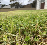 Karoonda Accommodation - Accommodation Gladstone