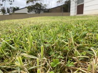 Book Karoonda Accommodation Vacations Accommodation Gladstone Accommodation Gladstone