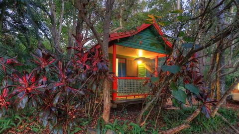 Lake Eacham Tourist Park & Cabins - Accommodation Gladstone 3