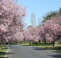 Leo's Rest Bathurst NSW - Accommodation Gladstone