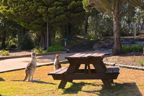 Leura Lodge At Mt Victoria - Accommodation Gladstone 2