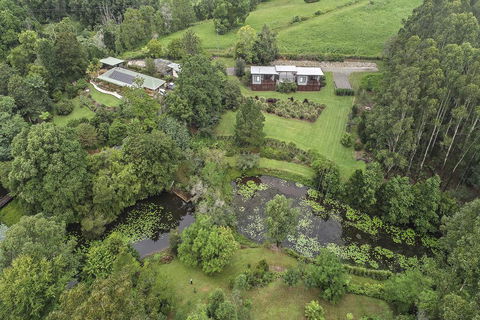 Lilypad Luxury Cabins - Accommodation Gladstone 3