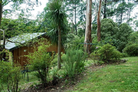 Luxury Forest Retreat - Puffing Billy - Accommodation Gladstone 2