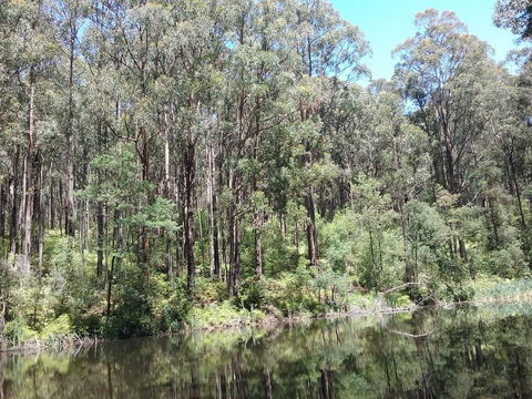 Lyrebird Gully Retreat - Accommodation Gladstone 2
