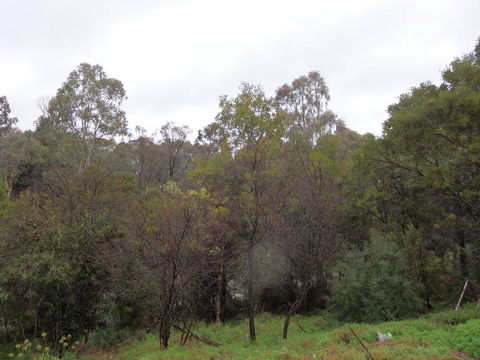 Mandall Avenue - Accommodation Gladstone 2