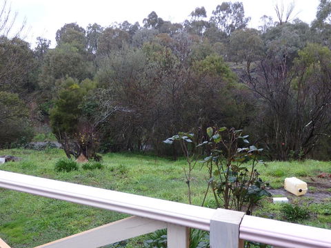Mandall Avenue - Accommodation Gladstone 1