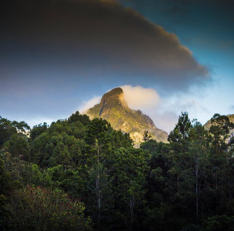 Mavis's Cabins @ Mt Warning - Accommodation Gladstone 1