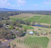McCaffrey's Estate - Accommodation Gladstone