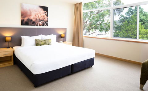 Metro Mirage Hotel Newport - Accommodation Gladstone 1