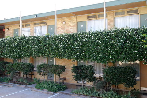Mid City Motor Inn Queanbeyan - Accommodation Gladstone 1