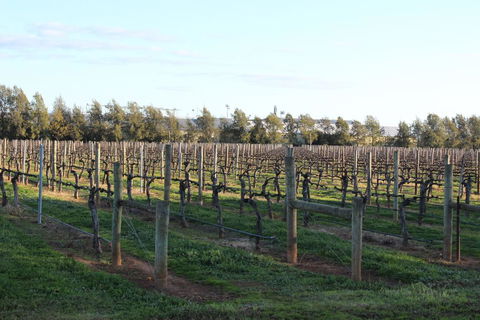 Milawa Vineyard Views - Guesthouse 2 - Accommodation Gladstone 0